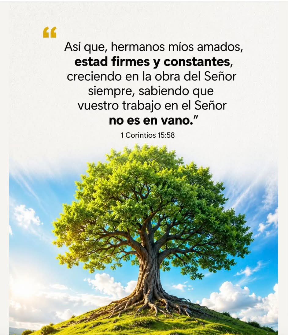Devocional Biblia Abierta — publicación 2