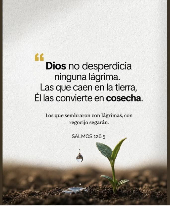 Devocional Biblia Abierta — publicación 9